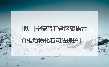 陕甘宁蒙晋五省区聚焦古脊椎动物化石司法保护