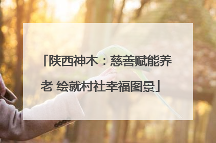 陕西神木：慈善赋能养老 绘就村社幸福图景