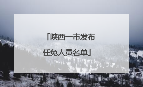 陕西一市发布任免人员名单