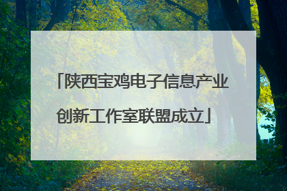 陕西宝鸡电子信息产业创新工作室联盟成立