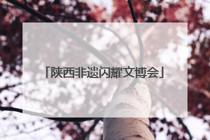 陕西非遗闪耀文博会