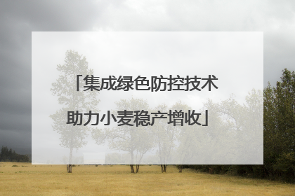 集成绿色防控技术助力小麦稳产增收
