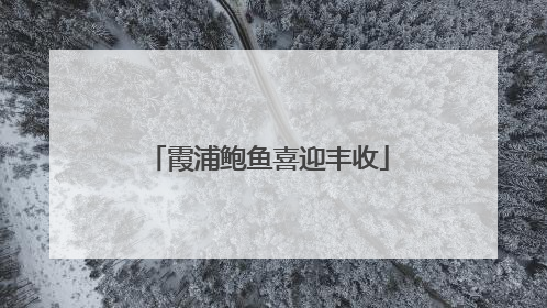 霞浦鲍鱼喜迎丰收