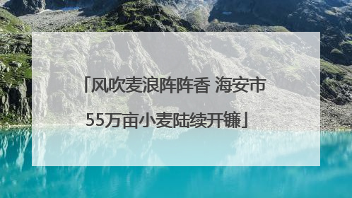 风吹麦浪阵阵香 海安市55万亩小麦陆续开镰