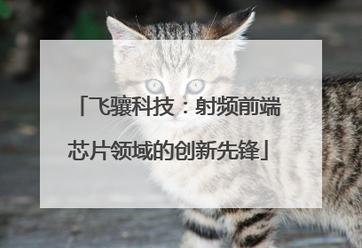 飞骧科技：射频前端芯片领域的创新先锋