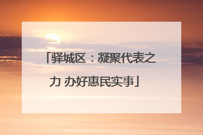 驿城区：凝聚代表之力 办好惠民实事