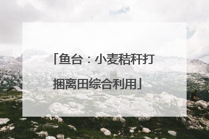 鱼台：小麦秸秆打捆离田综合利用
