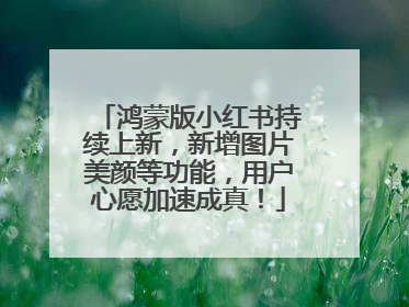 鸿蒙版小红书持续上新，新增图片美颜等功能，用户心愿加速成真！