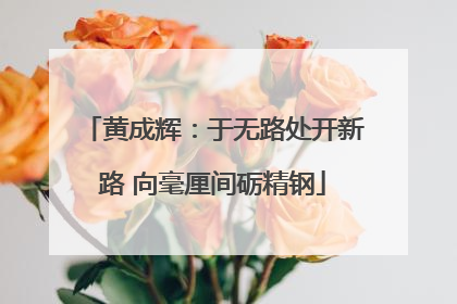 黄成辉：于无路处开新路 向毫厘间砺精钢