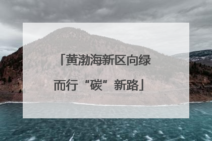 黄渤海新区向绿而行“碳”新路