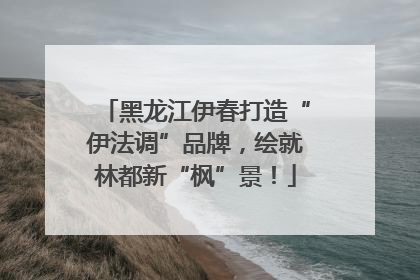 黑龙江伊春打造“伊法调”品牌,绘就林都新“枫”景!