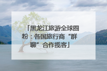 黑龙江旅游全球圈粉：各国旅行商“群聊”合作揽客