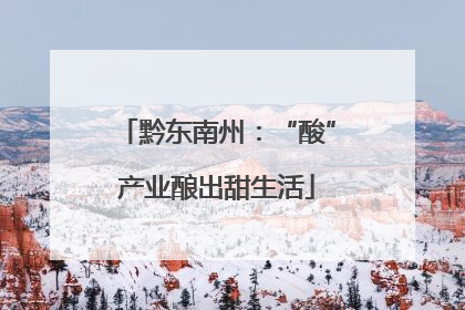黔东南州：“酸”产业酿出甜生活