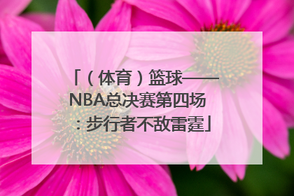 （体育）篮球——NBA总决赛第四场：步行者不敌雷霆