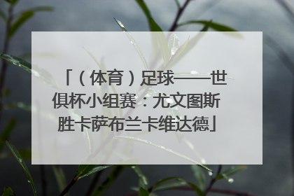 （体育）足球——世俱杯小组赛：尤文图斯胜卡萨布兰卡维达德
