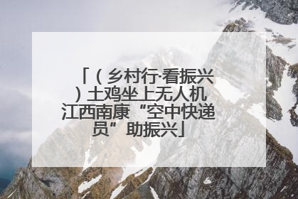 （乡村行·看振兴）土鸡坐上无人机 江西南康“空中快递员”助振兴