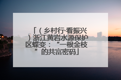 （乡村行·看振兴）浙江黄岩水源保护区蝶变：“一根金枝”的共富密码