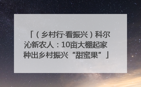 （乡村行·看振兴）科尔沁新农人：10亩大棚起家种出乡村振兴“甜蜜果”