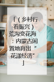 （乡村行·看振兴）荒沟变花海：内蒙古闲置地育出“花漾经济”