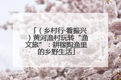 （乡村行·看振兴）黄河渔村玩转“渔文旅”：耕稼陶渔里的乡野生活