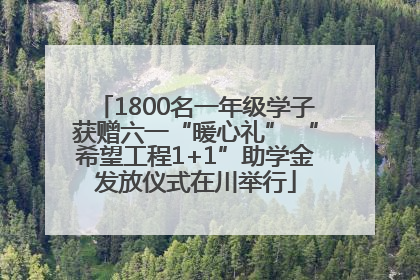 1800名一年级学子获赠六一“暖心礼” “希望工程1+1”助学金发放仪式在川举行