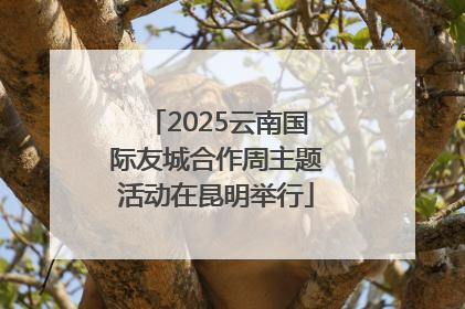 2025云南国际友城合作周主题活动在昆明举行