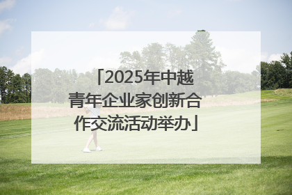 2025年中越青年企业家创新合作交流活动举办