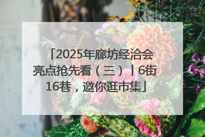 2025年廊坊经洽会亮点抢先看（三）丨6街16巷，邀你逛市集