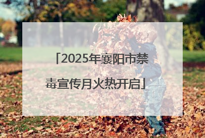 2025年襄阳市禁毒宣传月火热开启