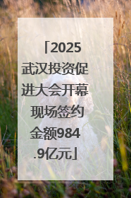 2025武汉投资促进大会开幕 现场签约金额984.9亿元