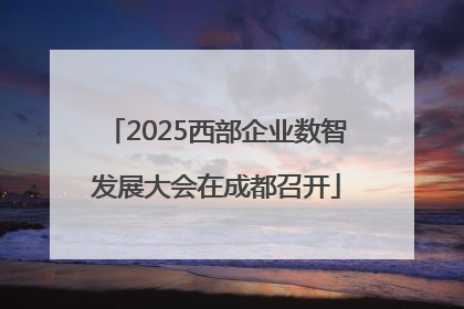 2025西部企业数智发展大会在成都召开