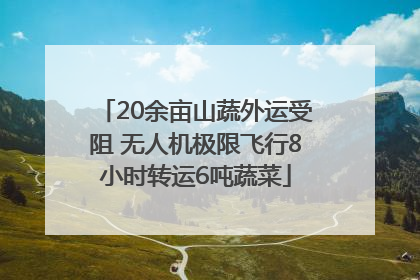 20余亩山蔬外运受阻 无人机极限飞行8小时转运6吨蔬菜