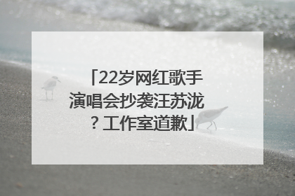 22岁网红歌手演唱会抄袭汪苏泷？工作室道歉