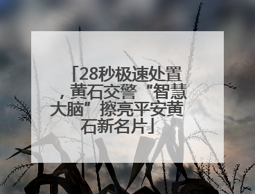 28秒极速处置，黄石交警“智慧大脑”擦亮平安黄石新名片