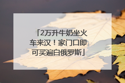 2万升牛奶坐火车来汉！家门口即可买遍白俄罗斯