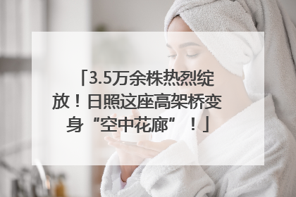 3.5万余株热烈绽放！日照这座高架桥变身“空中花廊”！