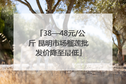 38—48元/公斤 昆明市场榴莲批发价降至最低