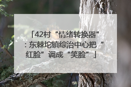 42村“情绪转换器”：东棘坨镇综治中心把“红脸”调成“笑脸”