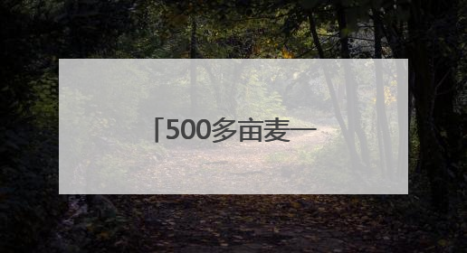 500多亩麦一天收完，这些“助手”帮大忙！