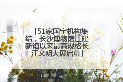 51家国宝机构集结，长沙博物馆迁建新馆以来最高规格长江文明大展启幕