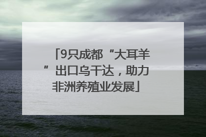 9只成都“大耳羊”出口乌干达，助力非洲养殖业发展