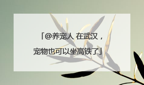 @养宠人 在武汉，宠物也可以坐高铁了